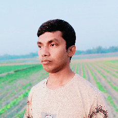 Ripon Prodhan-Freelancer in Rangpur,Bangladesh
