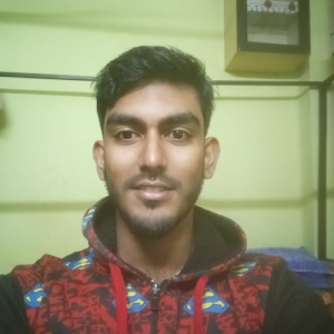 Meheraj Ali_sardar-Freelancer in Kolkata,India