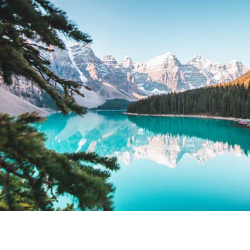 Rajesh Kumar Rana-Freelancer in Barotiwala,India