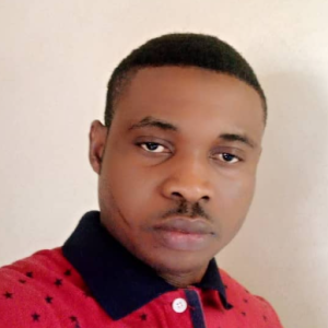 Ibrahim Shuaibu-Freelancer in Abuja,Nigeria