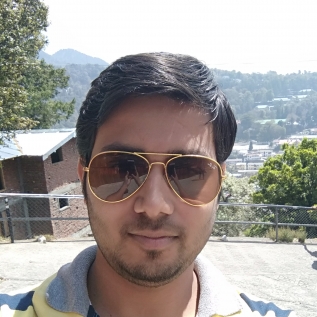 Sumit Sharma-Freelancer in Roorkee,India