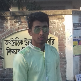 Mahbubul Hasan Borhan-Freelancer in ,Bangladesh