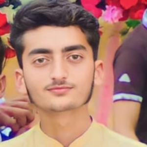 bilal ansar-Freelancer in pattoki,Pakistan