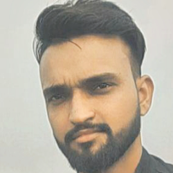 Hariom Sarswat-Freelancer in Delhi,India