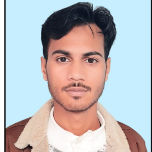 Vivek Gupta-Freelancer in Lucknow,India