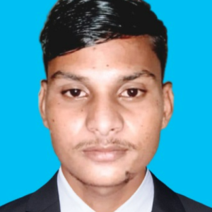 Niranjan Kumar-Freelancer in Noida,India