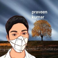 Praveen Kumar-Freelancer in kurnool,India