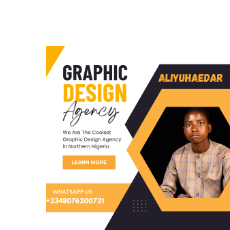 Aliyu Dahuru-Freelancer in Abuja,Nigeria