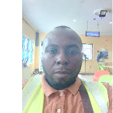 Nosa Obakpolor Brown-Freelancer in Lagos,Nigeria
