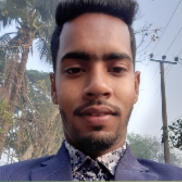 Nadmul Haque-Freelancer in Nalitabari,Bangladesh