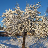 Tove-Freelancer in Storvik,Sweden