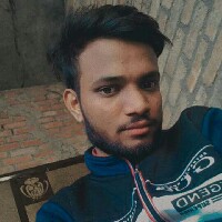 Bikramjit Singh 2824-Freelancer in Jalandhar Division,India