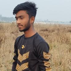 Md Shabbir Hossain-Freelancer in Gazipur,Bangladesh