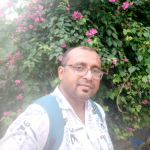 Niladri Mandal-Freelancer in Kolkata,India