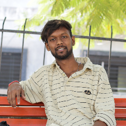 Ritesh Sippy-Freelancer in durg,India
