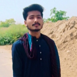 Husnain Jutt-Freelancer in Faisalabad,Pakistan