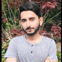 M Saad Arshad-Freelancer in Taunsa,Pakistan