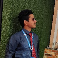 Ravi Kumar-Freelancer in Noida,India