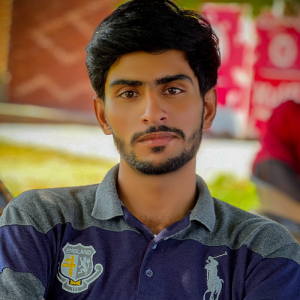 Zain Ul Abedin-Freelancer in Multan,Pakistan