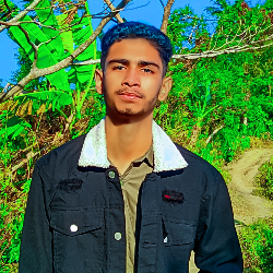 Ariful Islam-Freelancer in Sandwip,Bangladesh