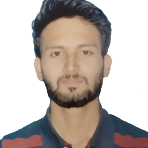 Anil Verma-Freelancer in Hamirpur,India