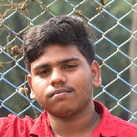Preetam Pandey-Freelancer in North Chotanagpur Division,India