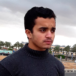 Ahmed mhamed-Freelancer in Giza,Egypt