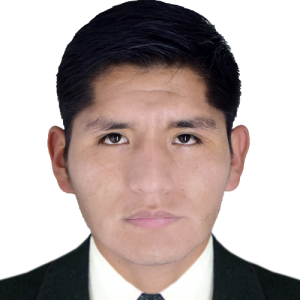 Jose Mamani-Freelancer in Moquegua,Peru