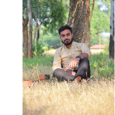 Gulshan Pandey-Freelancer in Kharsia,India