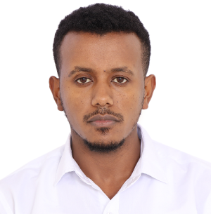 Endalkachew Addis-Freelancer in Sharjah,UAE