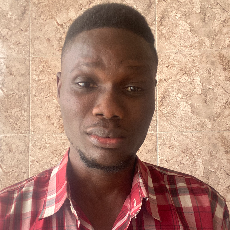 Ayodeji Gbolahan Adeyemi-Freelancer in Lagos,Nigeria