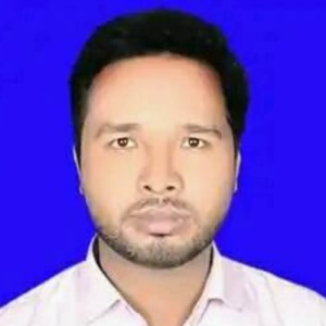 Bishwajit Roy-Freelancer in Dinajpur,Bangladesh