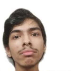Yash Ram Malhotra-Freelancer in New Delhi,India