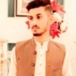 Awais Ali-Freelancer in Faisalabad,Pakistan