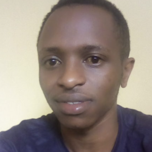 Kaberia Ndegwa-Freelancer in Nairobi,Kenya
