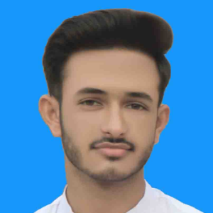 M Wahab-Freelancer in Layyah,Pakistan