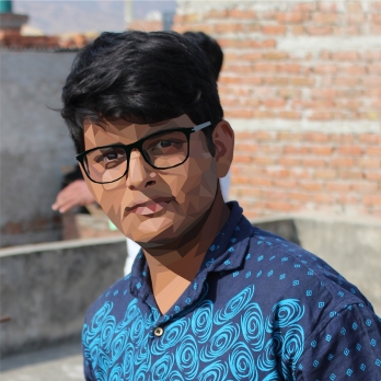 Harsh Vijay-Freelancer in Jaipur,India
