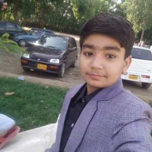 Hussain-Freelancer in Hyderabad,Pakistan