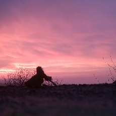 Mehak Bano-Freelancer in Delhi,India