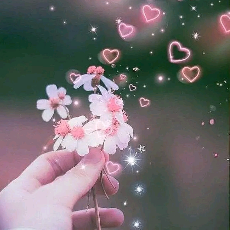 Aqsa Ashfaq-Freelancer in Lahore,Pakistan