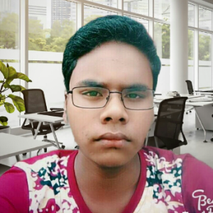 Safidul Mandal-Freelancer in Kolkata,India