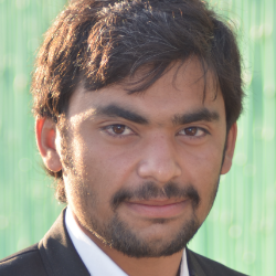 Muhammad Ali-Freelancer in Sargodha,Pakistan