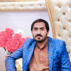 Syed Ali Raza-Freelancer in Bahawalpur,Pakistan