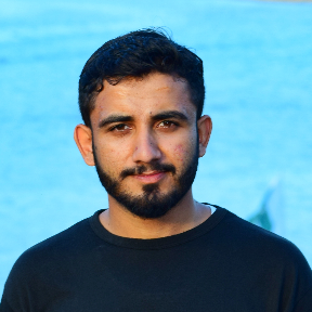 Waleed Abdullah-Freelancer in Gujrat,Pakistan