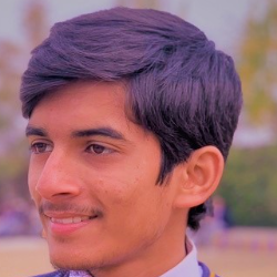 Khubaib Raja-Freelancer in Talagang,Pakistan