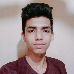 Mdariful Islam-Freelancer in Dhaka,Bangladesh