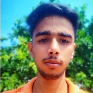 Kartik Thakur-Freelancer in Delhi,India