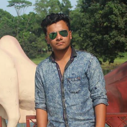 Safiqual Islam-Freelancer in Dhaka,Bangladesh