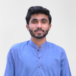 Minhas-Freelancer in Faisalabad,Pakistan