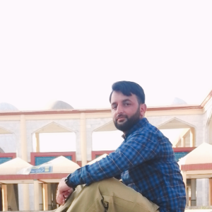 Sardar Awais-Freelancer in Trarkhel ajk,Pakistan